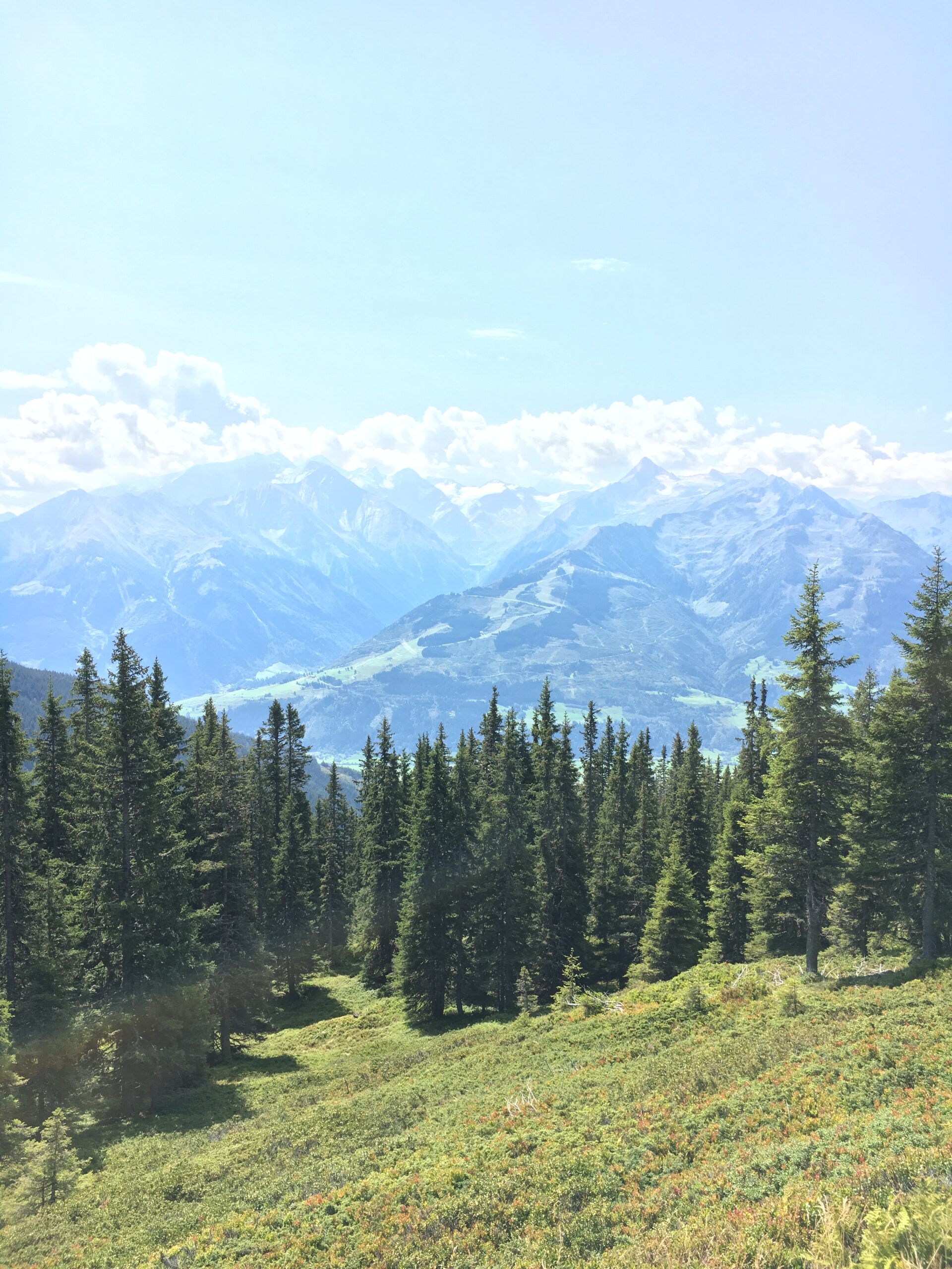 Forested mountainside opening to a distant valley